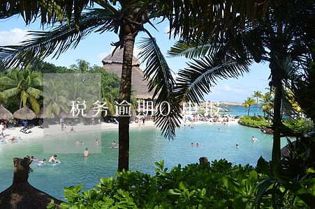 税务逾期0申报 税务逾期0申报