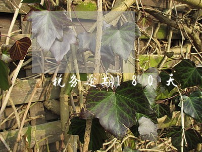 税务逾期180天 税务逾期180天