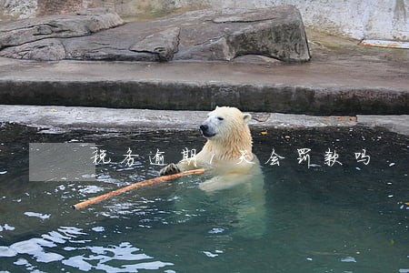 税务逾期1天会罚款吗 税务逾期1天会罚款吗