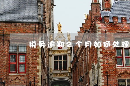 税务逾期2个月如何处理 税务逾期2个月如何处理