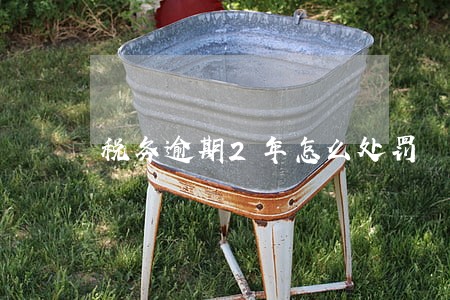 税务逾期2年怎么处罚 税务逾期2年怎么处罚