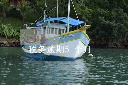 税务逾期5个月 税务逾期5个月