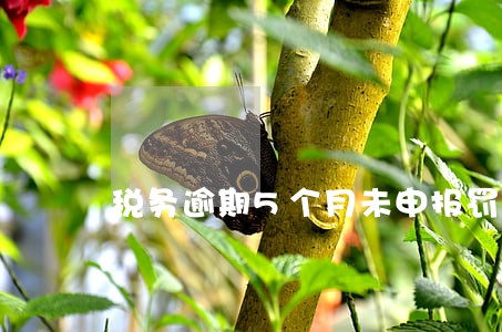税务逾期5个月未申报罚款 税务逾期5个月未申报罚款