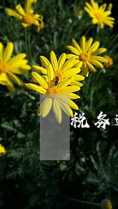税务逾期5年如何罚款