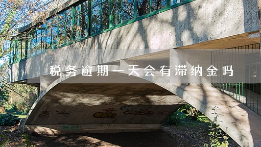 税务逾期一天会有滞纳金吗 税务逾期一天会有滞纳金吗