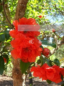 税务逾期一月未申报罚款多少 税务逾期一月未申报罚款多少