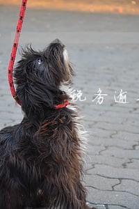 税务逾期一般多久 税务逾期一般多久