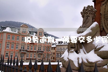 税务逾期一般要交多少罚款 税务逾期一般要交多少罚款