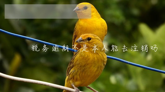 税务逾期不是本人能去注销吗 税务逾期不是本人能去注销吗
