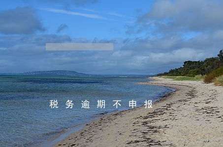 税务逾期不申报 税务逾期不申报