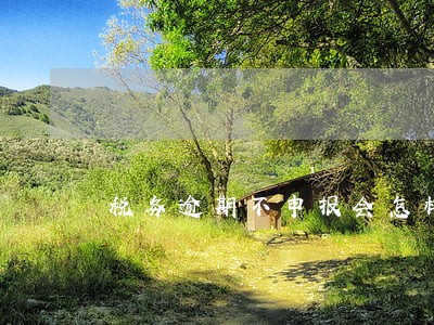 税务逾期不申报会怎样 税务逾期不申报会怎样