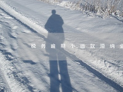 税务逾期不缴款滞纳金 税务逾期不缴款滞纳金
