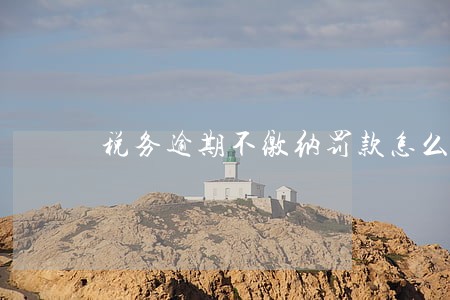 税务逾期不缴纳罚款怎么办 税务逾期不缴纳罚款怎么办