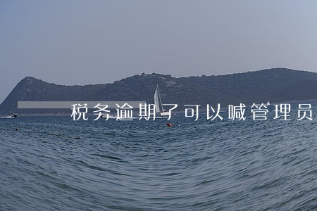 税务逾期了可以喊管理员帮忙报吗 税务逾期了可以喊管理员帮忙报吗