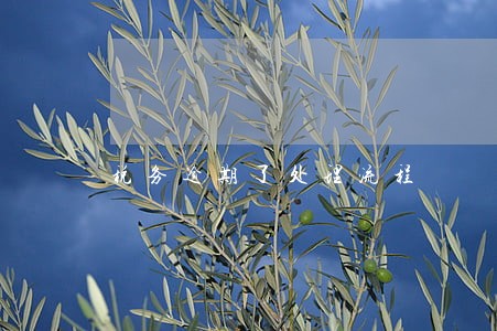 税务逾期了处理流程 税务逾期了处理流程