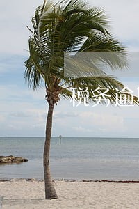 税务逾期了怎么解决 税务逾期了怎么解决