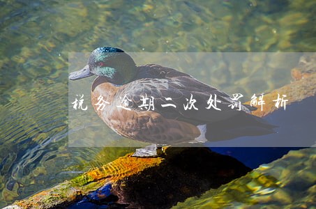 税务逾期二次处罚解析 税务逾期二次处罚解析