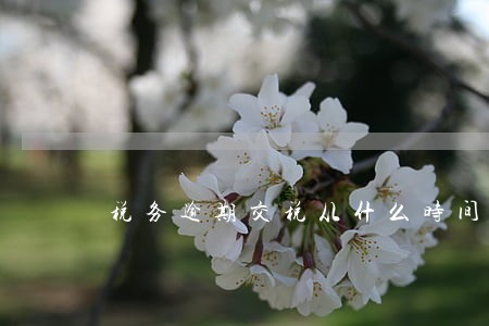税务逾期交税从什么时间算 税务逾期交税从什么时间算
