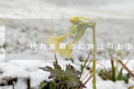 税务逾期会影响公司上市吗 税务逾期会影响公司上市吗