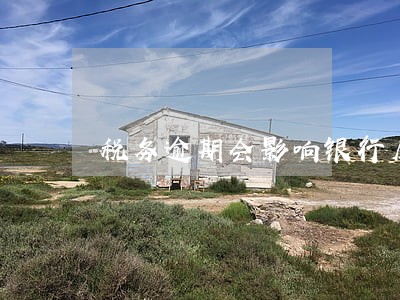 税务逾期会影响银行房贷吗 税务逾期会影响银行房贷吗