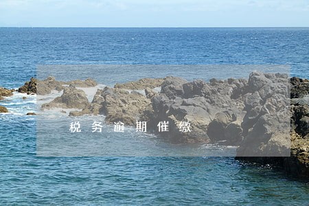 税务逾期催缴 税务逾期催缴