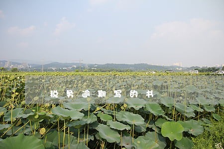 税务逾期写的书 税务逾期写的书