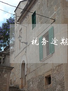 税务逾期几天 税务逾期几天