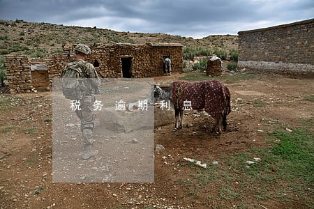 税务逾期利息 税务逾期利息