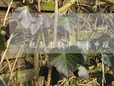税务逾期半年未申报 税务逾期半年未申报