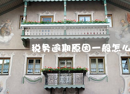 税务逾期原因一般怎么写 税务逾期原因一般怎么写