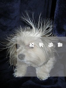 税务逾期去哪里处理 税务逾期去哪里处理
