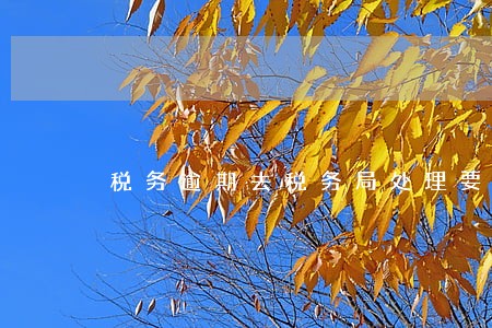 税务逾期去税务局处理要带什么