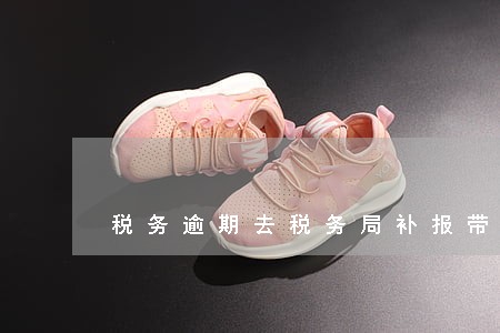 税务逾期去税务局补报带什么 税务逾期去税务局补报带什么