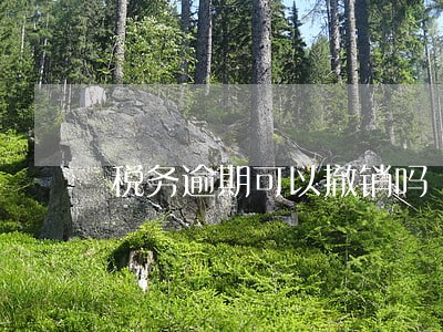 税务逾期可以撤销吗 税务逾期可以撤销吗