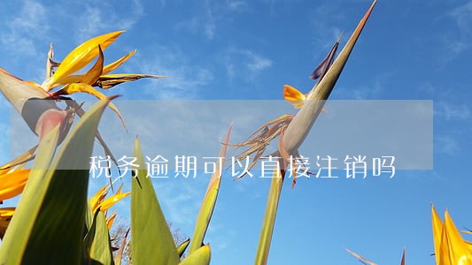 税务逾期可以直接注销吗 税务逾期可以直接注销吗