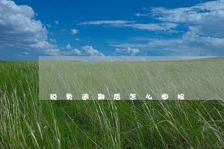 税务逾期后怎么申报 税务逾期后怎么申报