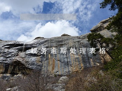税务逾期处理表格 税务逾期处理表格