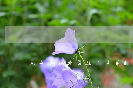 税务逾期处罚从几月算到几月
