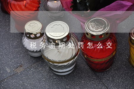 税务逾期处罚怎么交 税务逾期处罚怎么交