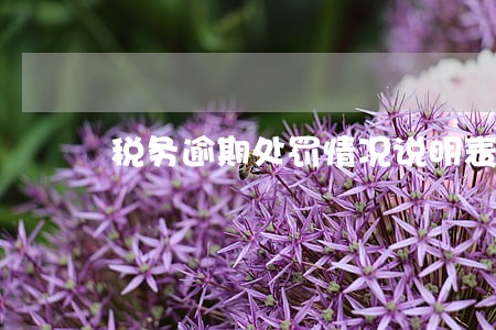 税务逾期处罚情况说明表 税务逾期处罚情况说明表