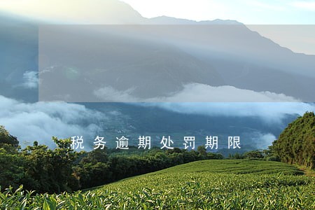 税务逾期处罚期限