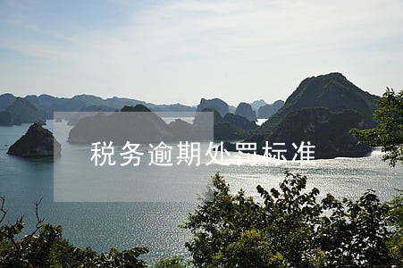 税务逾期处罚标准