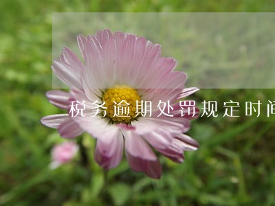 税务逾期处罚规定时间计算 税务逾期处罚规定时间计算