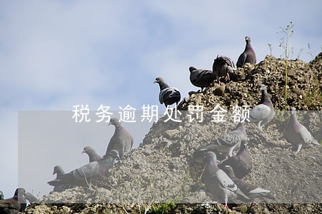 税务逾期处罚金额