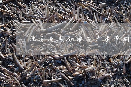 税务逾期备案会产生滞纳金吗 税务逾期备案会产生滞纳金吗