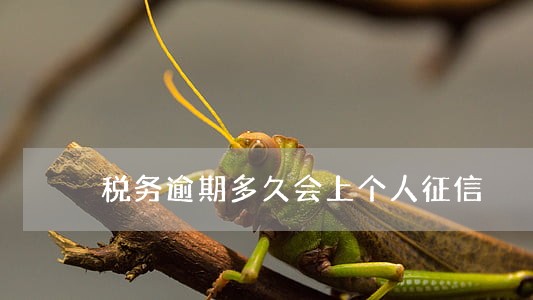 税务逾期多久会上个人征信 税务逾期多久会上个人征信