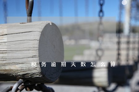税务逾期天数怎么算
