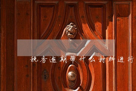 税务逾期带什么材料进行补纳