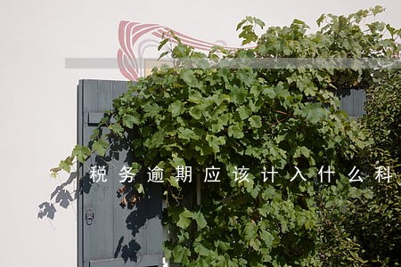 税务逾期应该计入什么科目 税务逾期应该计入什么科目