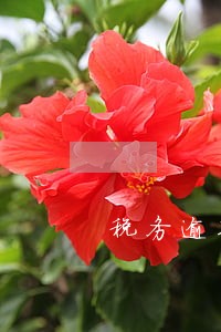 税务逾期归哪个部门 税务逾期归哪个部门